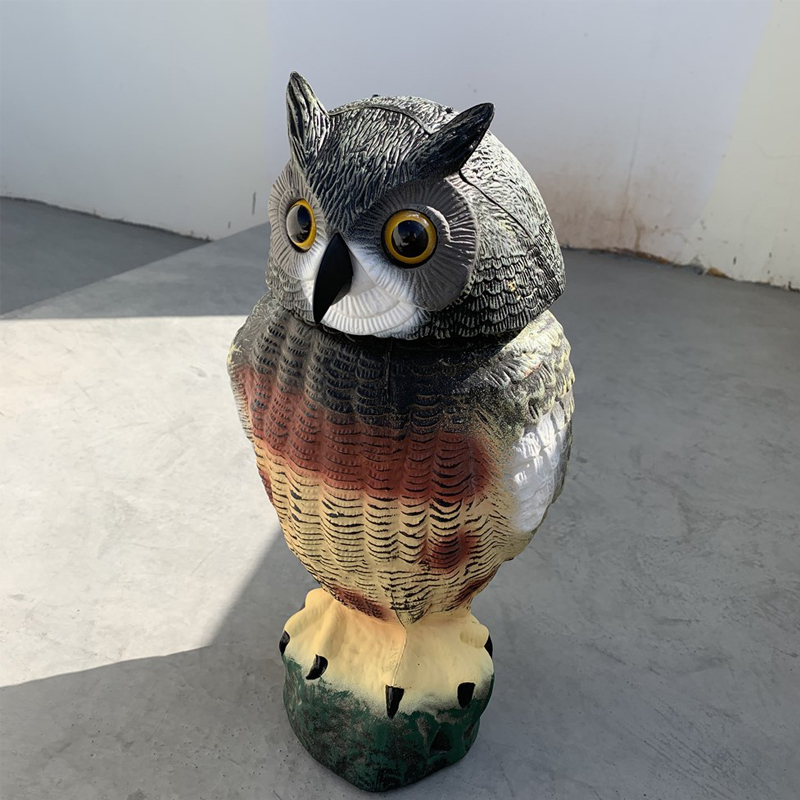 owl-8.jpg